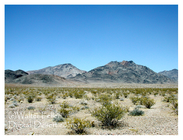 Nopah Range Wilderness photo