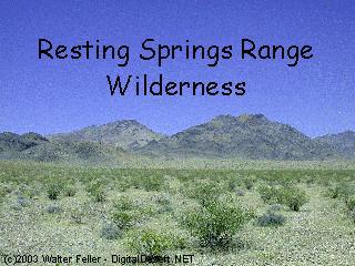 Resting Springs Range Wilderness photo