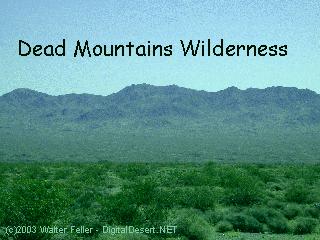 Dead Mountains Wilderness photo