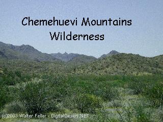 Chemehuevi Mountains Wilderness photo