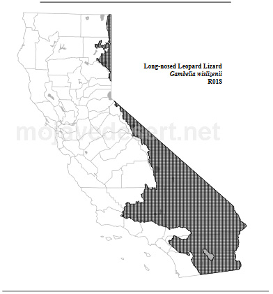 range map for long-nosed leopard lizard