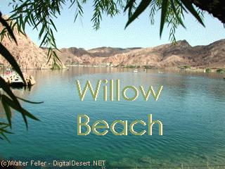 Willow Beach - Colorado River