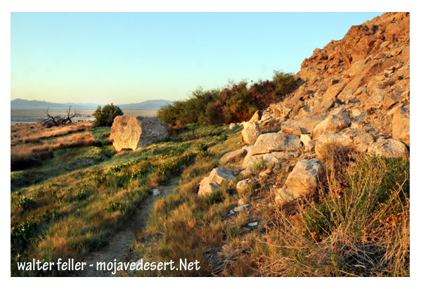 Soda Springs at dawn