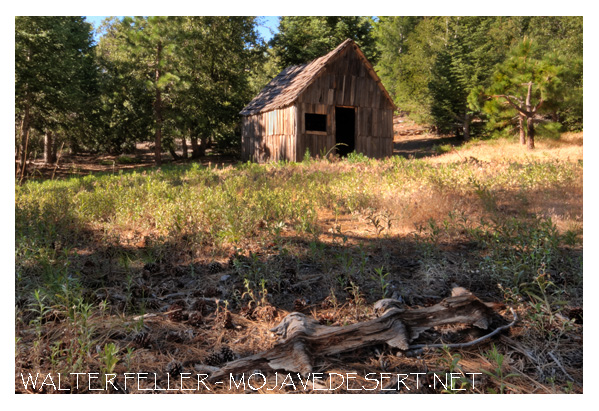 Vincent's Cabin - Angeles National Forest - Mt Baden-Powell