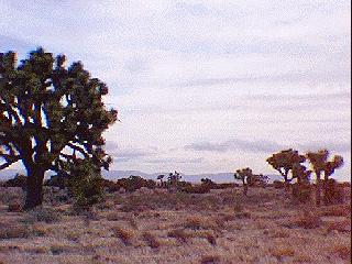 storm cloud, rainbow, wrightwood, phelan, california, mojave desert, schools, snowline school district, oak springs valley, oak hills, baldy mesa, victorville