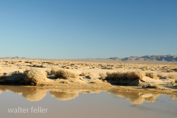 Photo 1 of 7 of Soggy Dry Lake in Lower Johnson Valley, Mojave Desert