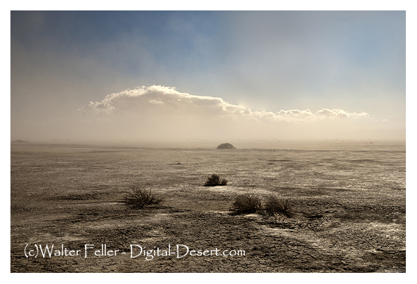 photo of Coyote dry lake, ancient Lake Mannix, Barstow, CA