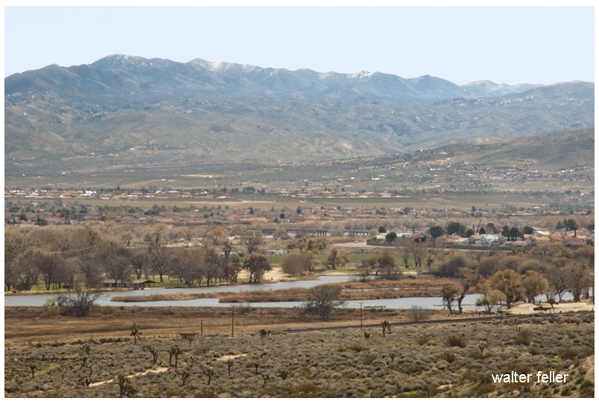 Mojave Narrows Regional Park, Victorville, Ca.