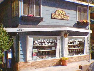 The Golden Acorn gift shop