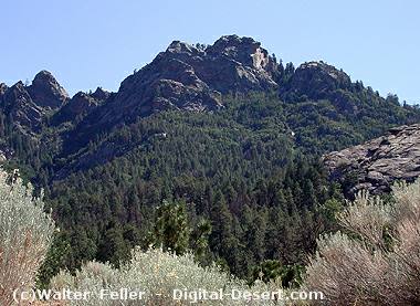 Hualapai Mountain Park, Kingman, Arizona