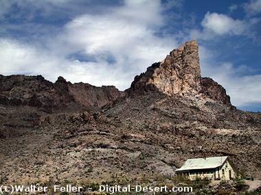 Oatman Arizona, living ghost town