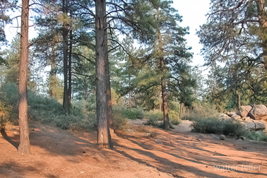 Hualapai Mountain, Kiingman, Az