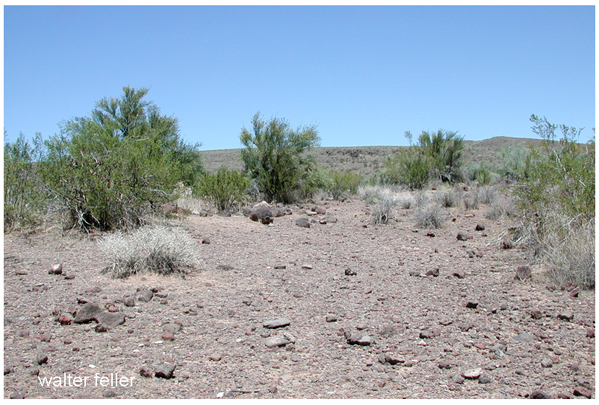 photo of Beale Springs, Kingman, Arizona