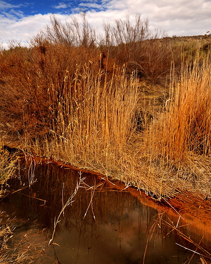 Old Spanish Trail - Bitter Springs, Fort Irwin