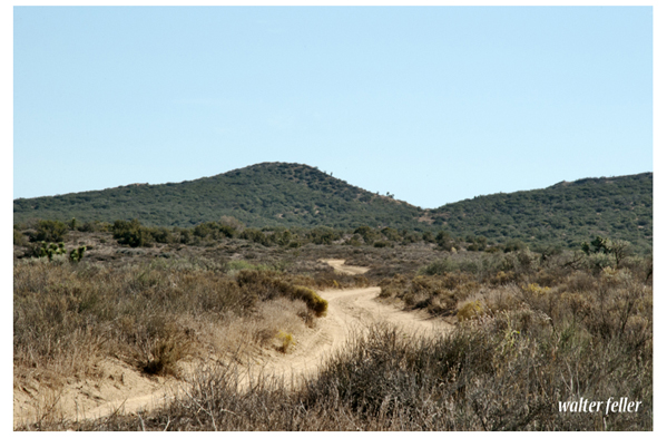 Trail to the hogback - 1851 alternative to Cajon trail.