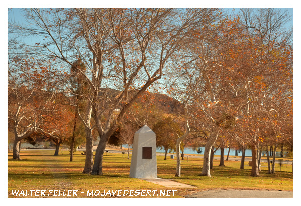 Sycamore Grove (Glen Helen)