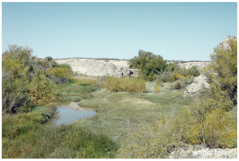 Amargosa River, Tecopa