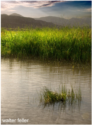 Mojave River at Afton Canyon