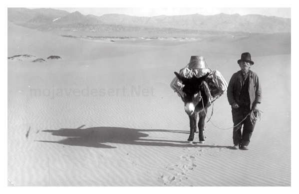 Shorty Harris, Death Valley