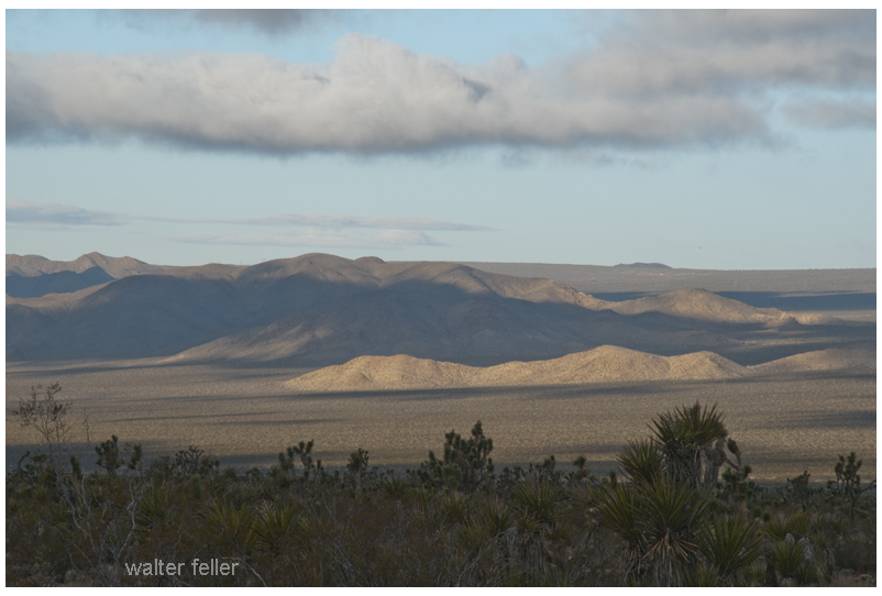 Looking across Kelso Wash toward Marl Mountains
