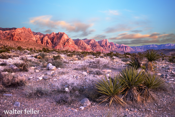Spring Mountains - Red Rock Canyon- Nevada