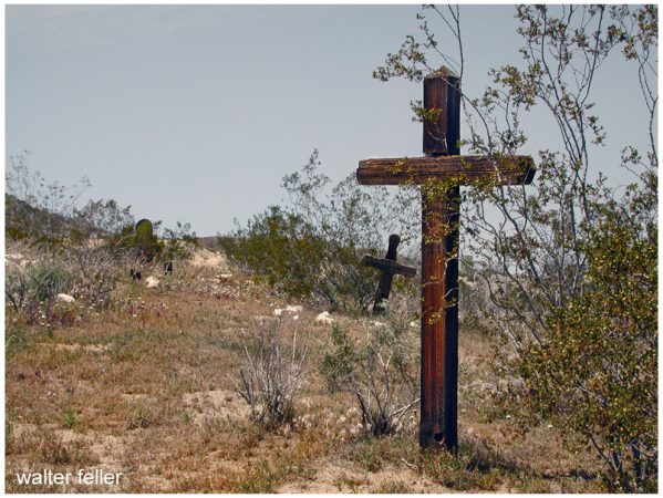 Johannesburg cemetery