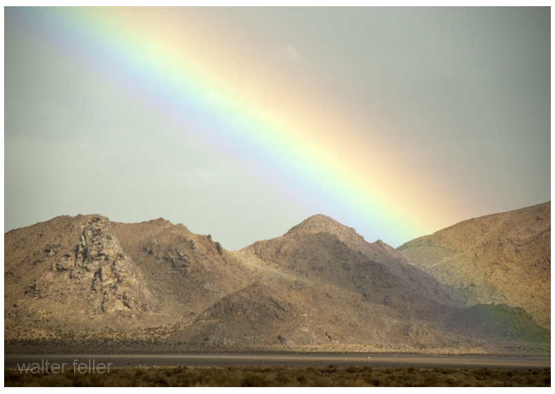 Lucerne Valley