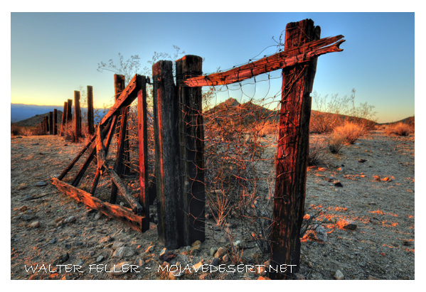 Fence line at Marl Springs