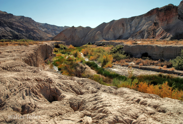 Amargosa River 
