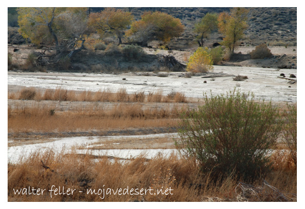 Mojave River at Lanes Crossing