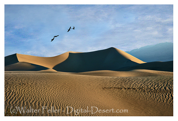 Death Valley, Mesquite Dunes