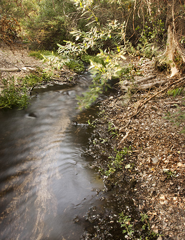 Photo of Cajon Creek in Cajon Pass on the Old Spanish Trail and John Brown's toll road.