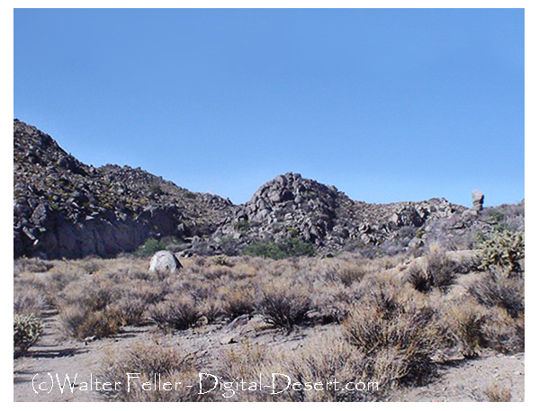 Camp Rock Sring in the Mojave Preserve along the Mojave Road