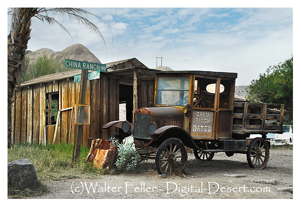 Photo of China Ranch, Tecopa, Ca.