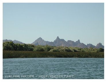 Lower Colorado River at Topock Marsh