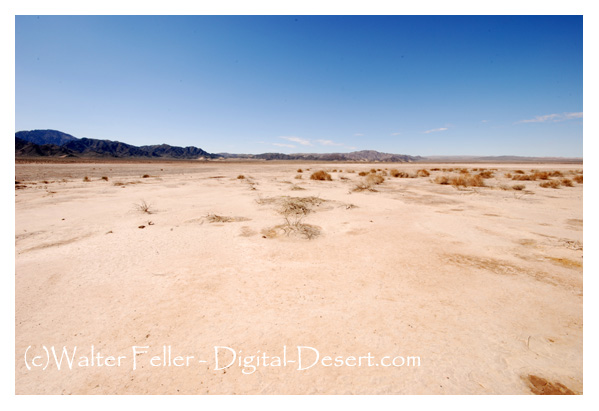 Picture of West Cronise Dry Lake, Mojave Desert