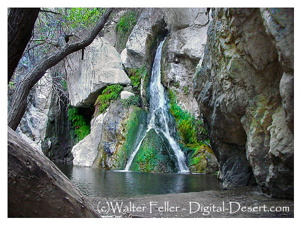 Photo of Darwin Falls near Death Valley