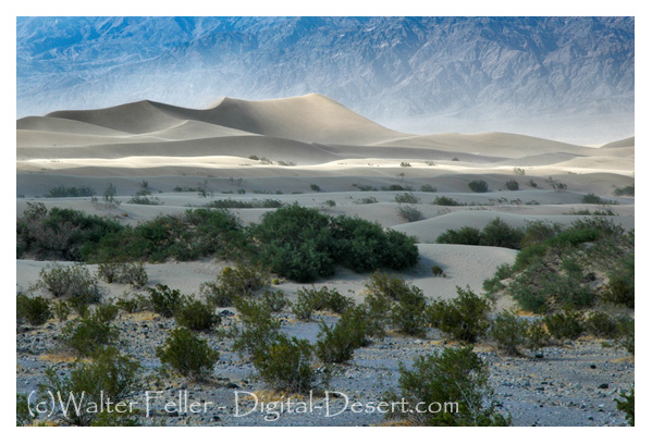 Sand Dunes in Death Valley