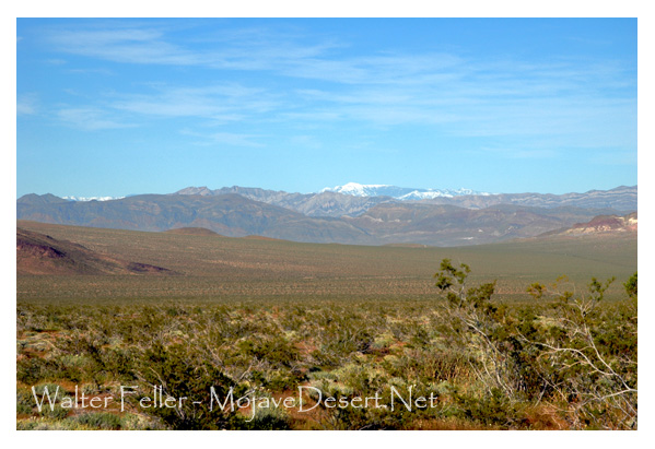 Photo of Salsberry Pass in spring, Death Valley National Park