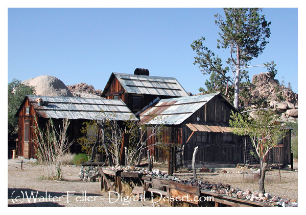 desert queen ranch