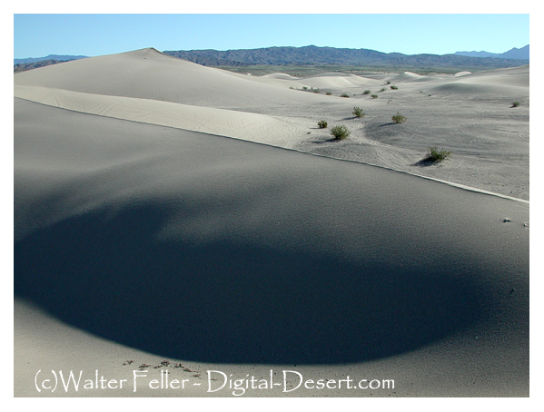 photo of Dumont Dunes sand dunes