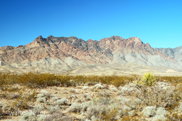 Providence Mountains, Mojave National Preserve, Mojave Desert, California