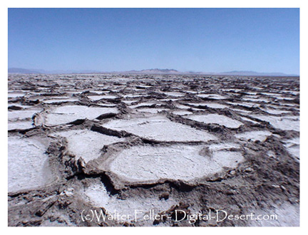 Bristol dry lake, Amboy, California Mojave Desert