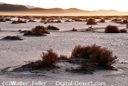 photo of El Mirage dry lake