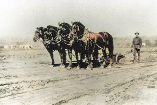 Fresno scraper being pulled by four-horse team