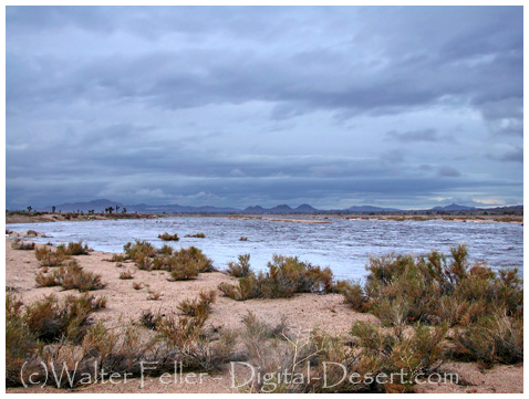 Flash flood in the Mojave River bed
