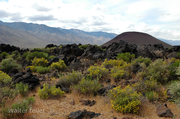 Red Hill cinder cone