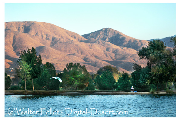 View of Hesperia Lake