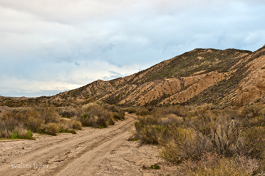 wagon road through Black Canyon in Mojave Desert