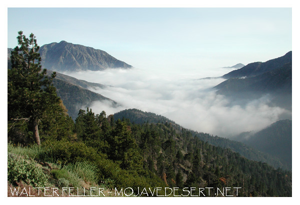 Rain shadow desert. Clouds fill in East San Gabriel Canyon
